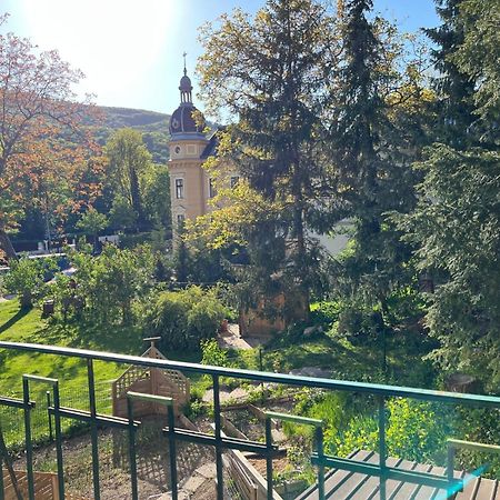 Schoene Wohnung Im Helenental Баден Екстер'єр фото